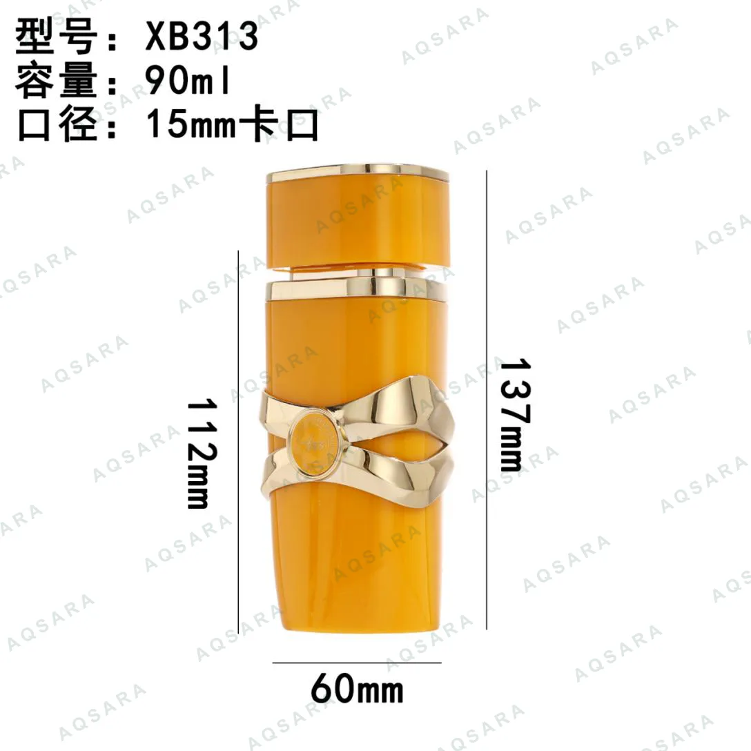 XB313 2